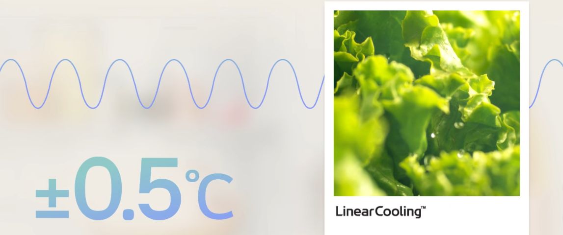 Công nghệ LinearCooling™ giúp kiểm soát nhiệt độ bên trong tủ lạnh luôn ổn định