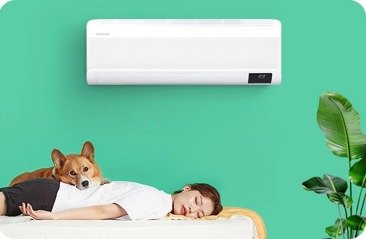 Chế độ WindFree Good Sleep sẽ giúp bạn và gia đình tận hưởng giấc ngủ ngon giấc hơn