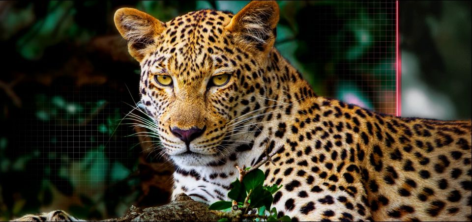 Công nghệ AI Picture Pro với sự kết hợp của AI Super Upscaling