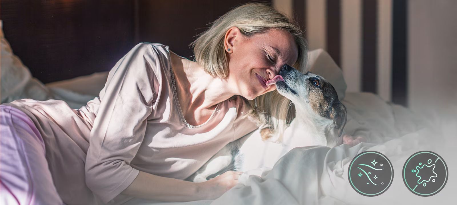 Chu trình giặt Vệ sinh thú cưng Pet Care