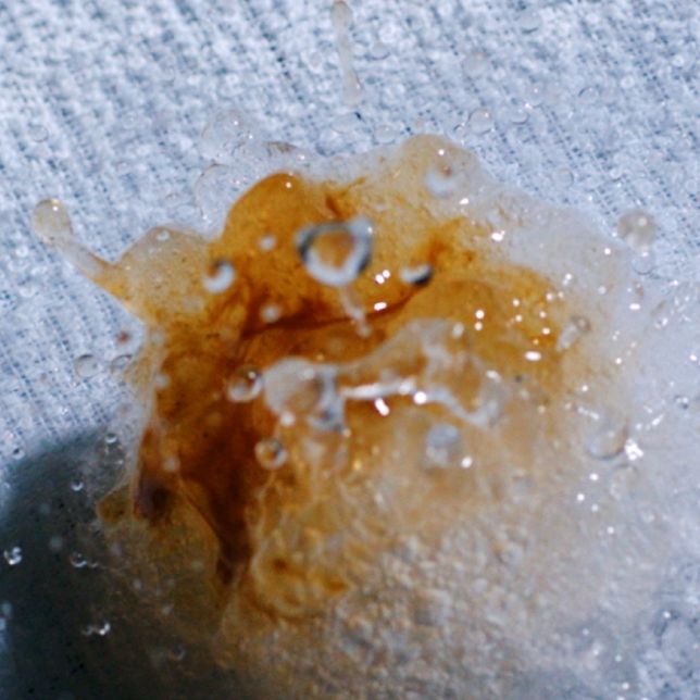 StainMaster+ sử dụng phương pháp giặt nước nóng 40 độ C