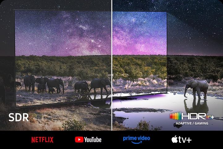 Công nghệ Neo Quantum HDR+ kết hợp với khung hình chất lượng 4K