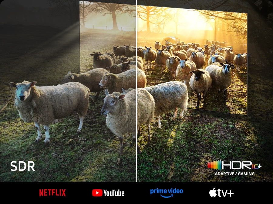 Tái tạo chuẩn xác mọi sắc độ sáng tối trên màn hình nhờ công nghệ Neo Quantum HDR 8K Pro
