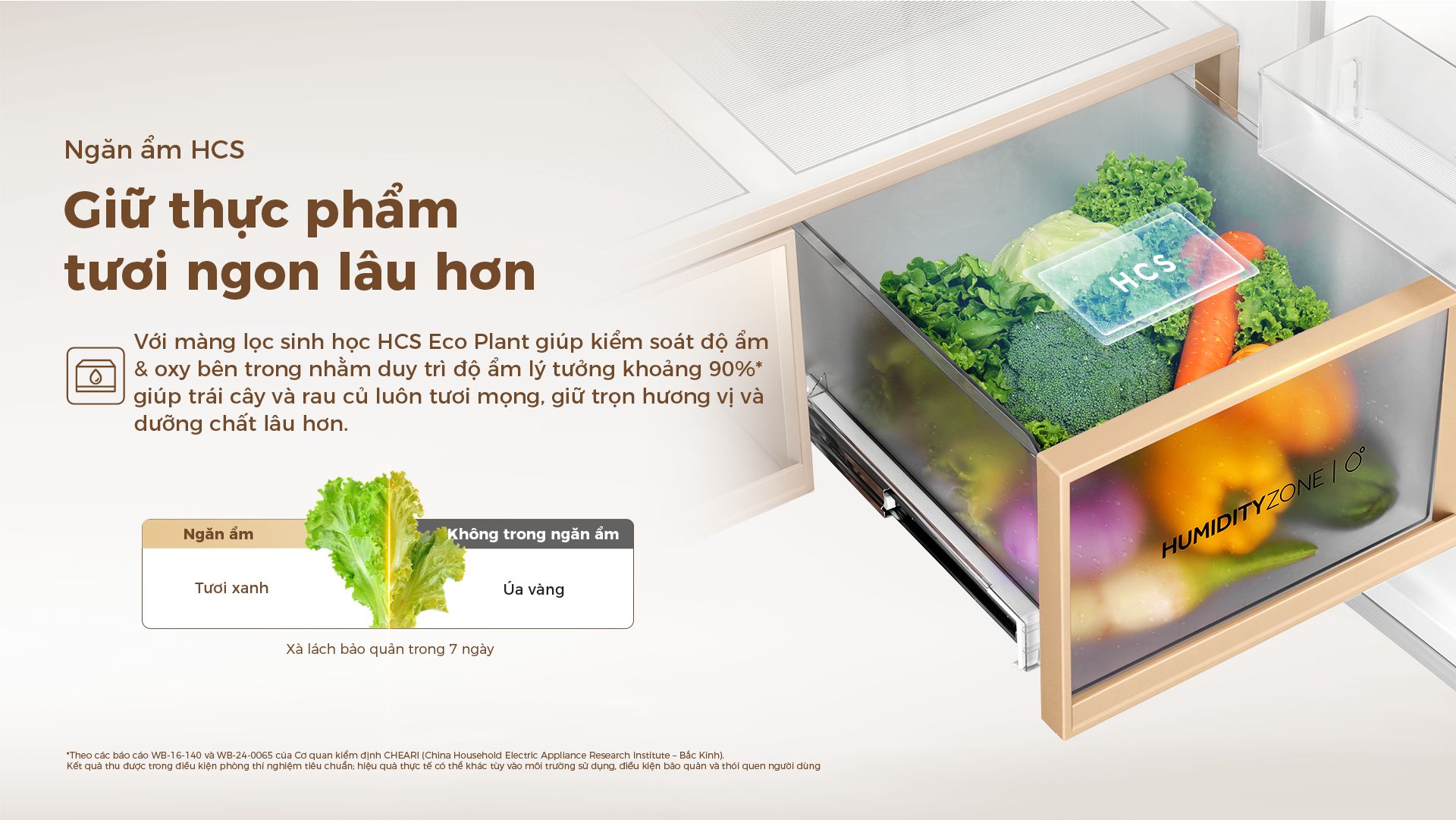 Ngăn ẩm HCS với màng lọc sinh học HCS Eco Plant