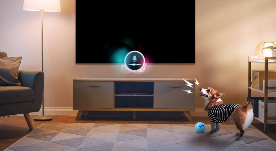 Chế độ Pet Care