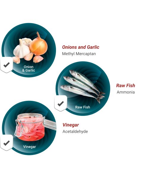 Công nghệ lọc khử mùi, diệt khuẩn tiên tiến