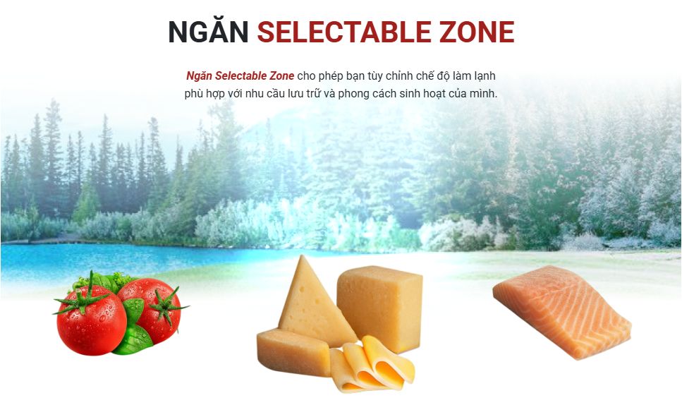 Tổng kho điều hòa, điện máy miền Bắc tại Hà Nội Ngăn Selectable Zone có thể điều chỉnh nhiều chế độ