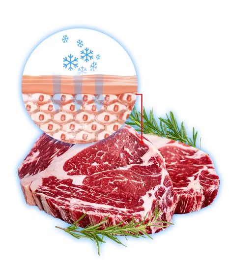 Tổng kho điều hòa, điện máy miền Bắc tại Hà Nội Công nghệ cấp đông sâu ở nhiệt độ cực thấp -30 độ C