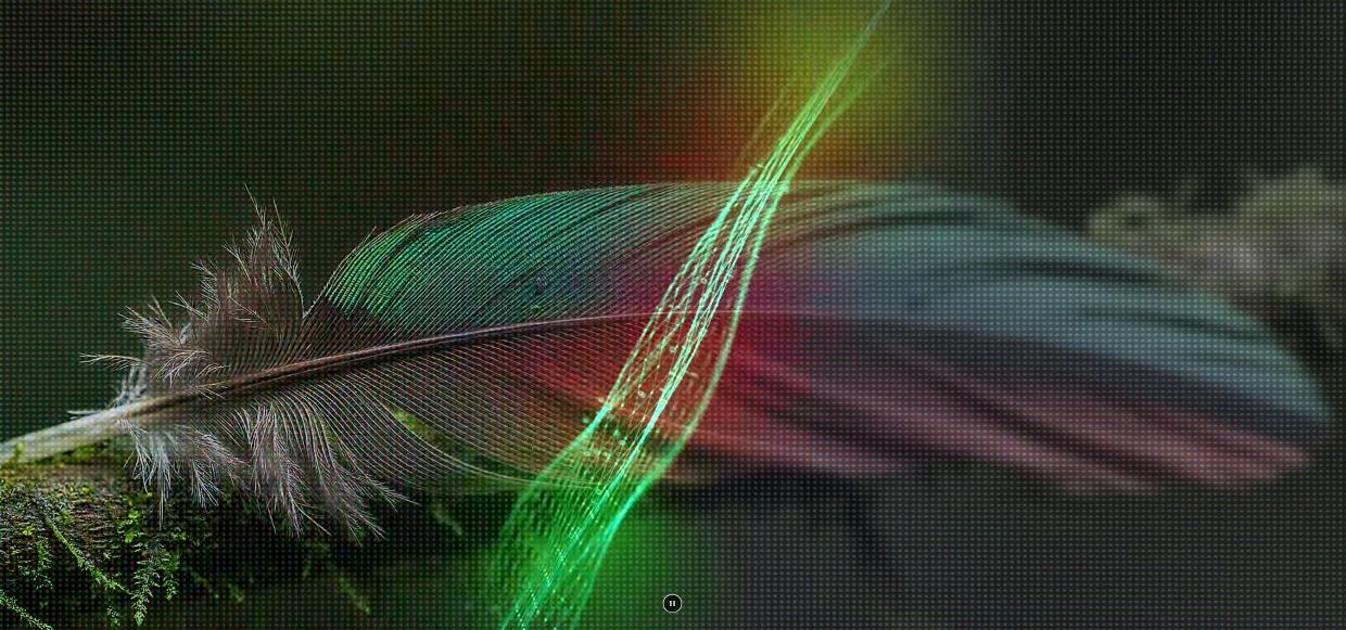 Công nghệ Nano Detail Enhancer mang đến khung hình sống động