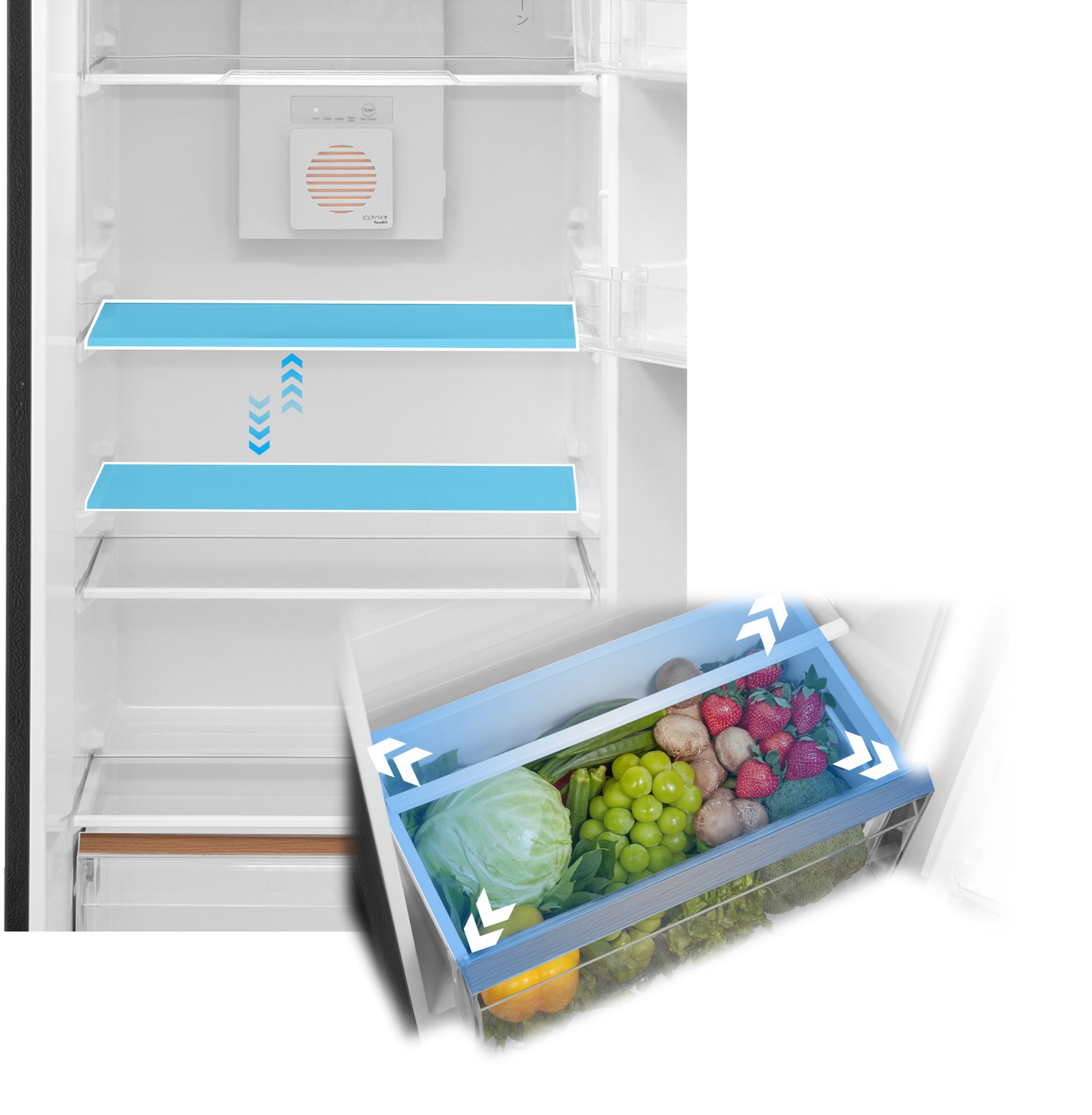 Ngăn rau củ được thiết kế với dung tích lớn