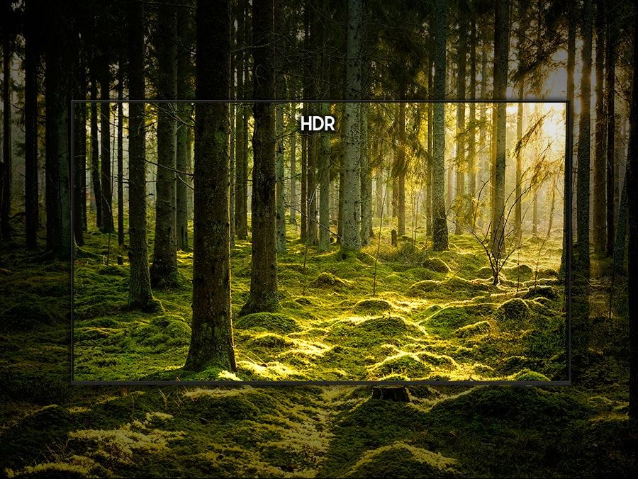 Công nghệ HDR tăng tỉ lệ tương phản