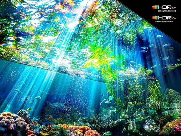 Công nghệ Micro RGB HDR+