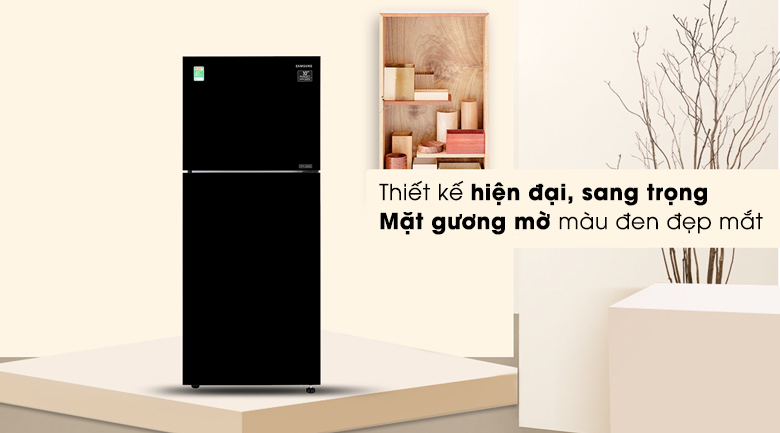 Tủ lạnh Samsung 360 lít 2 cửa Inverter RT35K50822C/SV