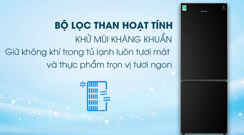 Tủ lạnh Samsung RB30N4010BU/SV, bộ lọc than hoạt tính