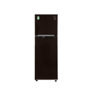 Tủ lạnh Samsung 236 lít Inverter RT22M4032BY/SV