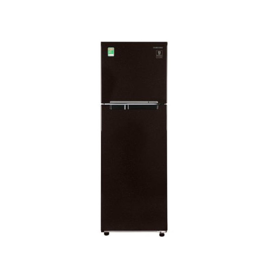 Tủ lạnh Samsung 256 lít 2 cửa Inverter RT25M4032BU/SV