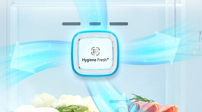Tủ lạnh LG GR-B22PS inverter 524 lít, Hygiene Fresh+