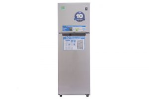 Tủ lạnh Samsung 255 lít RT25HAR4DSA/SV
