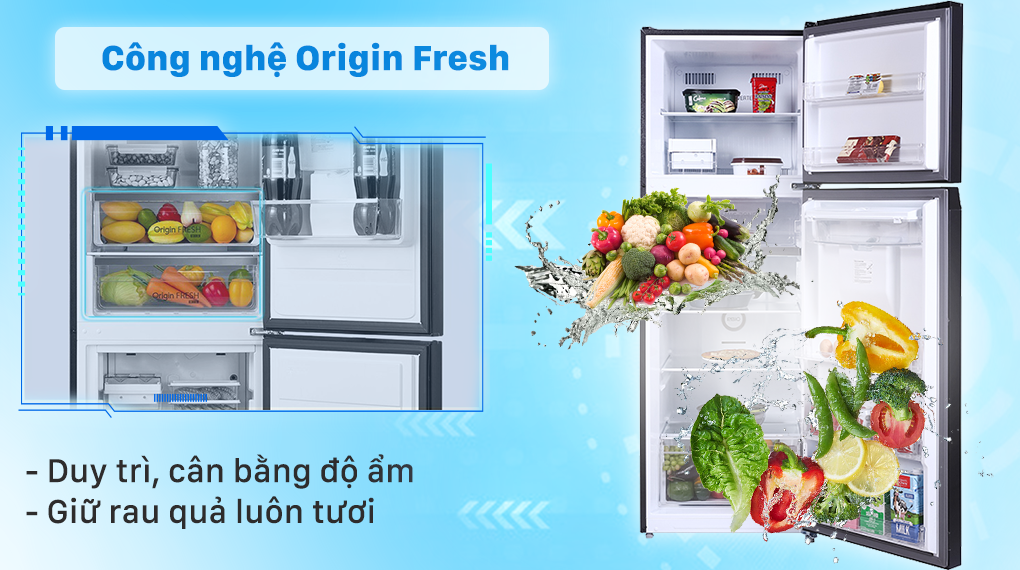 Tủ lạnh Toshiba GR-RT435WE-PMV(06)-MG 337 Lít Inventer, ngăn chứa hoa quả