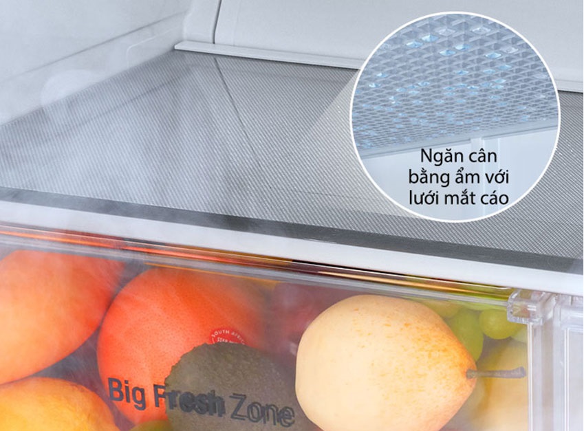 Tủ lạnh LG GR-B22PS inverter 524 lít, ngăn cân bằng sản phẩm