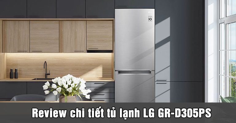 thinh-phat-Review chi tiết tủ lạnh LG GR-D305PS ngăn đá dưới 305 lít