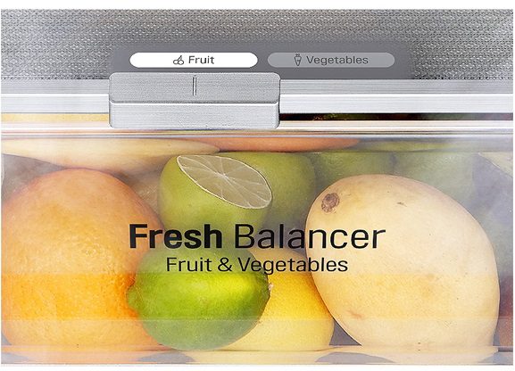 thinh-phat-Tủ lạnh LG GR-D305PS ngăn cân bằng ẩm FRESHBalancer