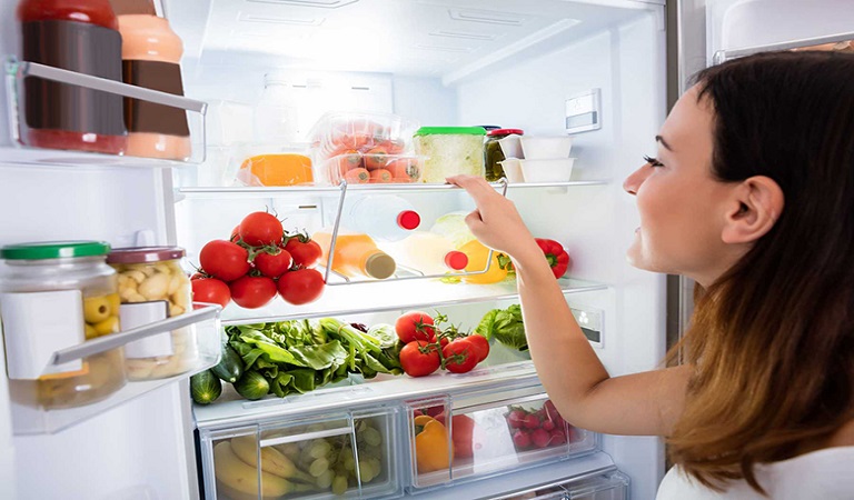 thinh-phat-thinh-phat-Cách sử dụng tủ lạnh không gây tốn điện 2