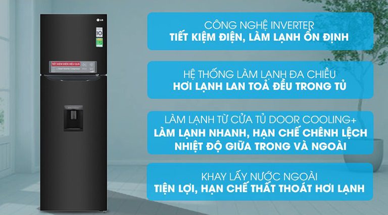 thinh-phat-Tủ lạnh LG GN-D255BL 255 lít inverter giá rẻ