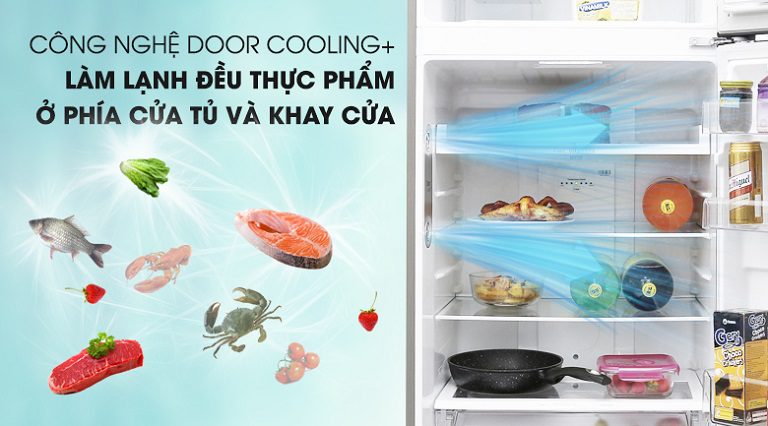 thinh-phat-Tủ lạnh LG Door Cooling+