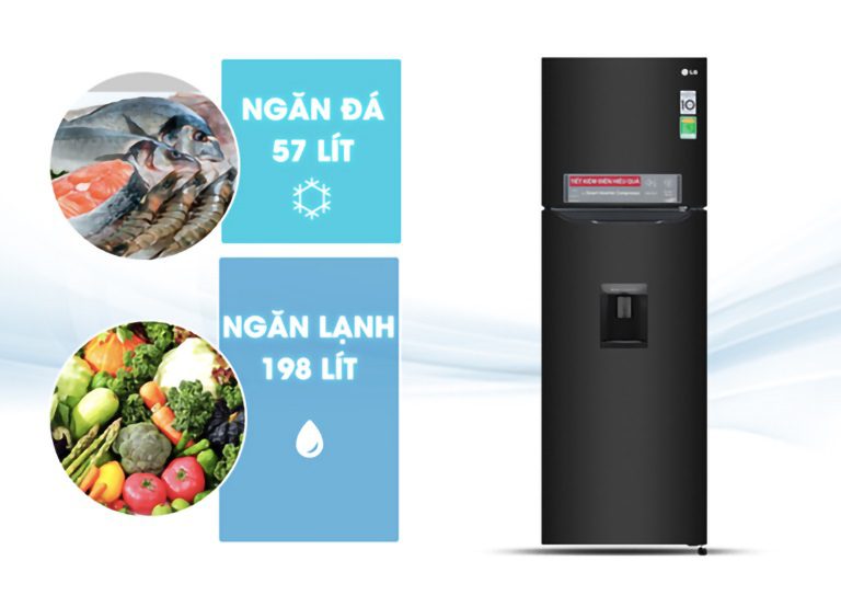 thinh-phat-Tủ lạnh LG GN-D255BL