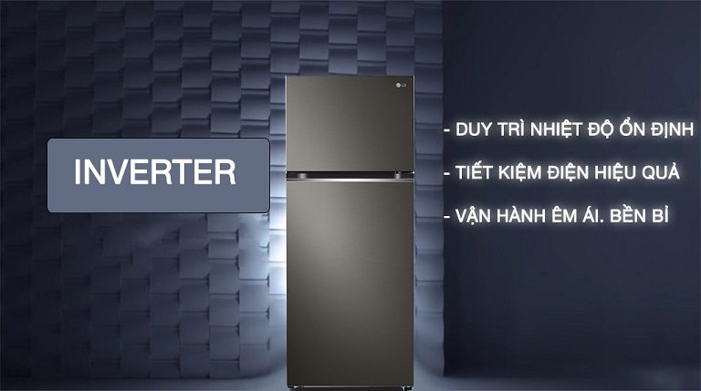 thinh-phat-Tủ lạnh LG GN-D372BL inverter