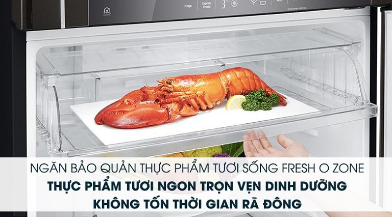 thinh-phat-Tủ lạnh LG ngăn đông mềm Fresh 0 Zone