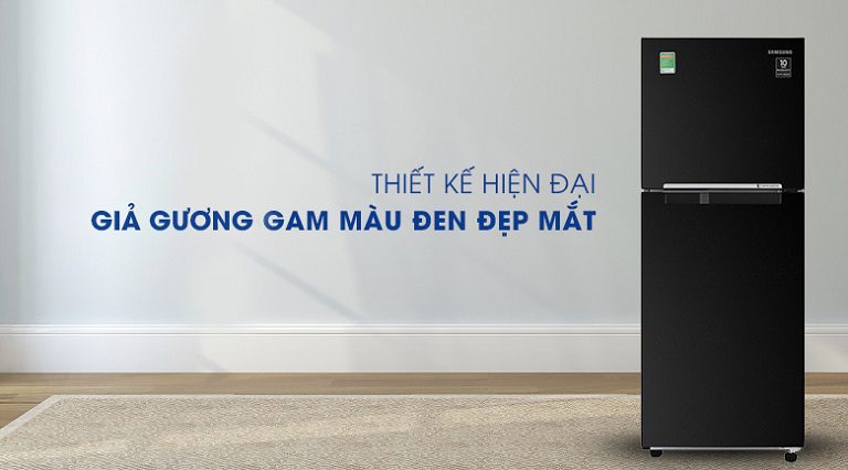 thinh-phat-Tủ lạnh Samsung RT20HAR8DBU-SV 208 lít inverter