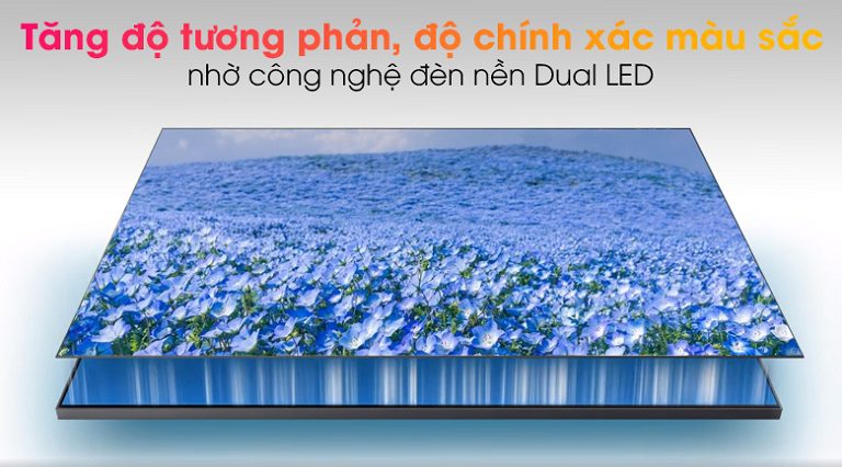 thinh-phat-Công nghệ đèn nền Dual LED samsung QA43Q60B