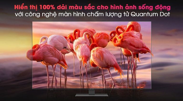 thinh-phat-Tivi Samsung QA65Q80B Quantum Dot