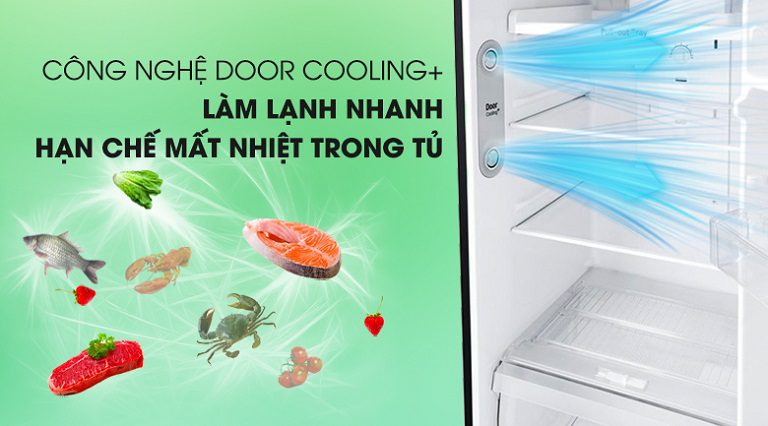 thinh-phat-Tủ lạnh LG DoorCooling+