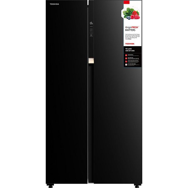 Tủ lạnh Toshiba 596 lít GR-RS780WI-PGV(22)-XK Inverter