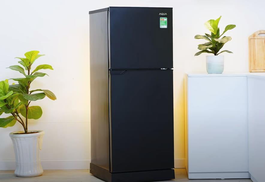 thinh-phat-Các hãng tủ lạnh chất lượng - Tủ lạnh Aqua