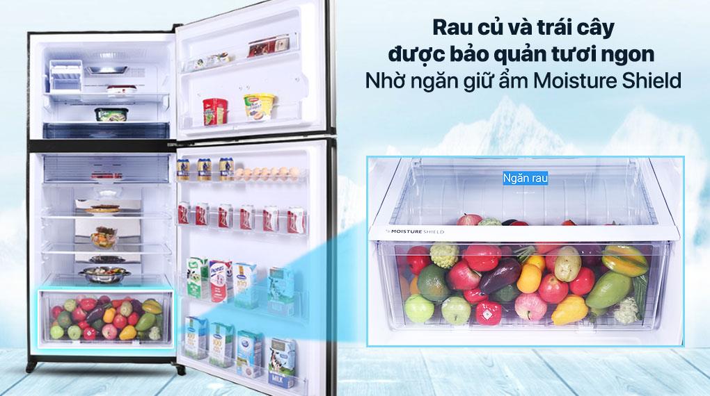 thinh-phat-Tủ lạnh Sharp có tốt không công nghệ tiết kiệm