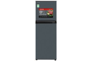 Tủ lạnh Toshiba GR-RT303WE-PMV(52) 233 lít Inverter [2023]