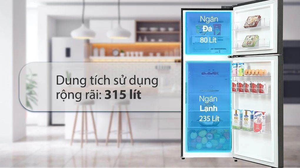 sở hữu dung tích lên đến 315 lít