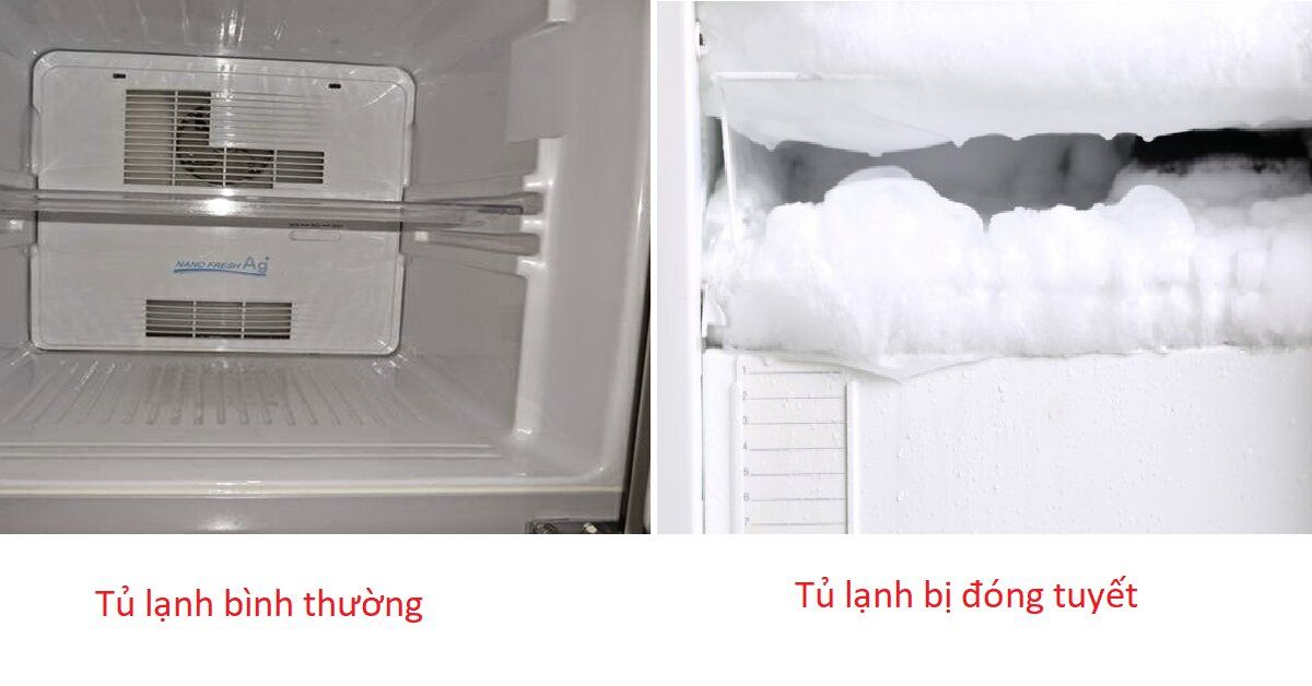 Tủ lạnh bị đóng tuyết là như thế nào?