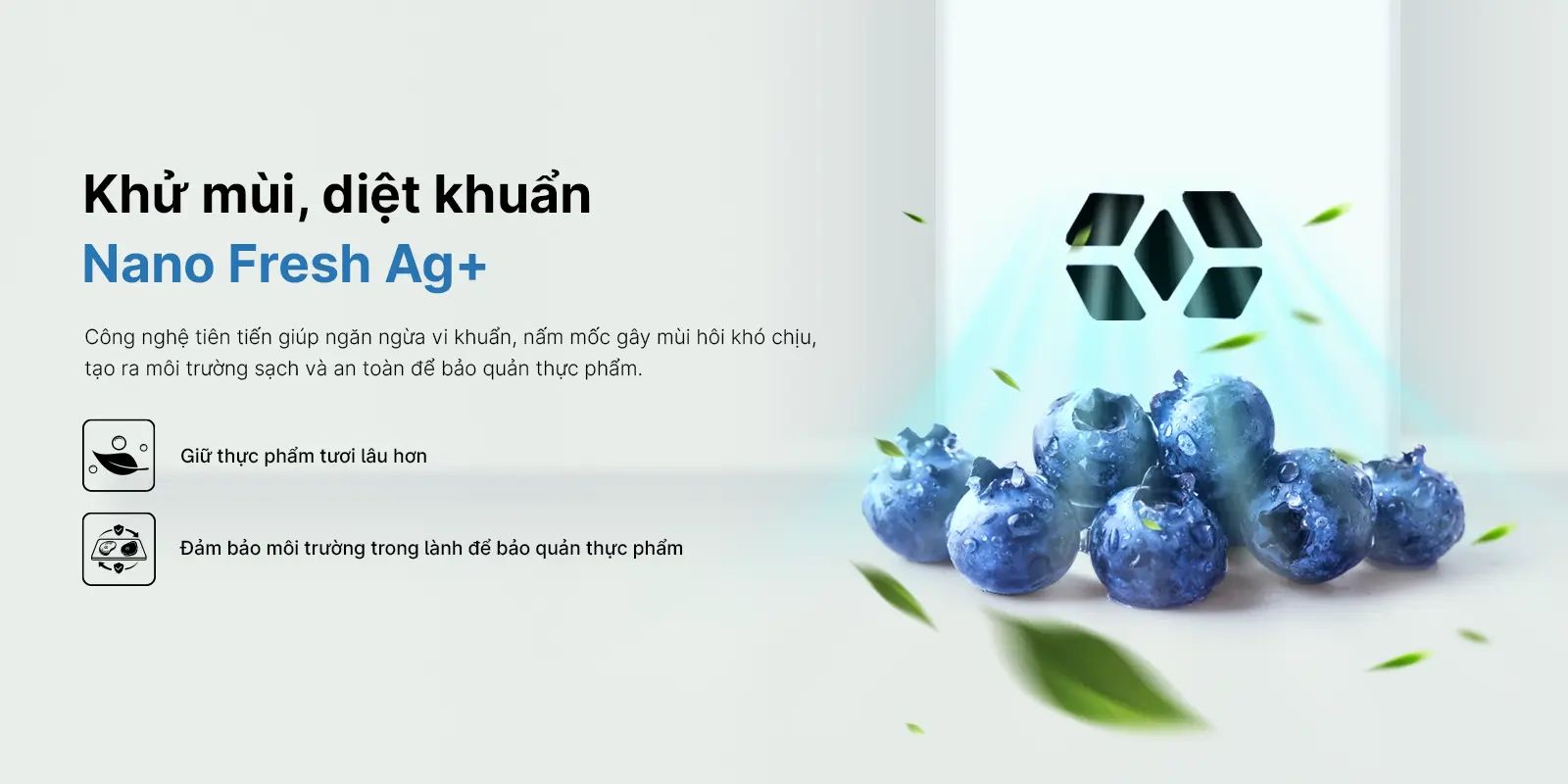 Hệ thống DEO Fresh sẽ loại bỏ vi khuẩn, mùi hôi khó chịu, nấm mốc