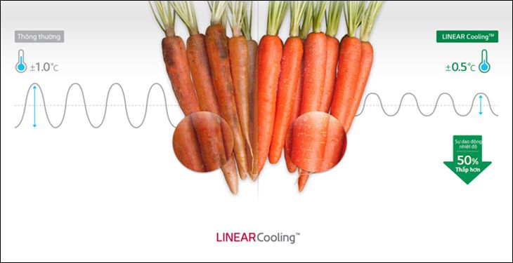 Công nghệ bảo quản thực phẩm LinearCooling™