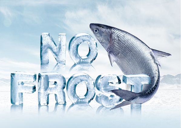 Công nghệ làm lạnh không đóng tuyết No Frost