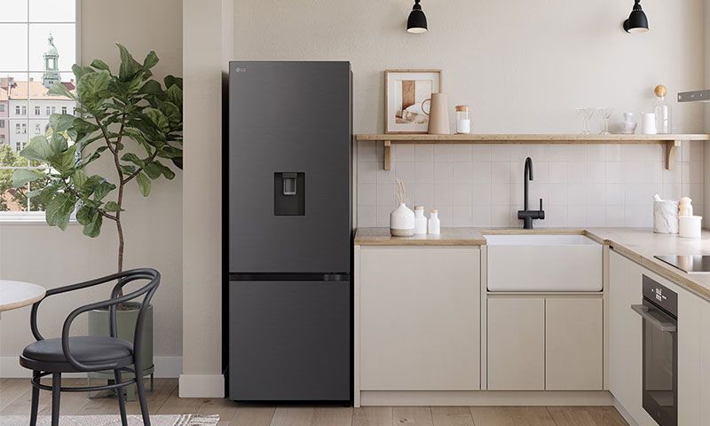 Tủ lạnh 2 cánh ngăn đông dưới