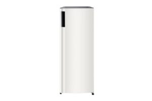 Tủ đông LG LOF16BGM 165 lít
