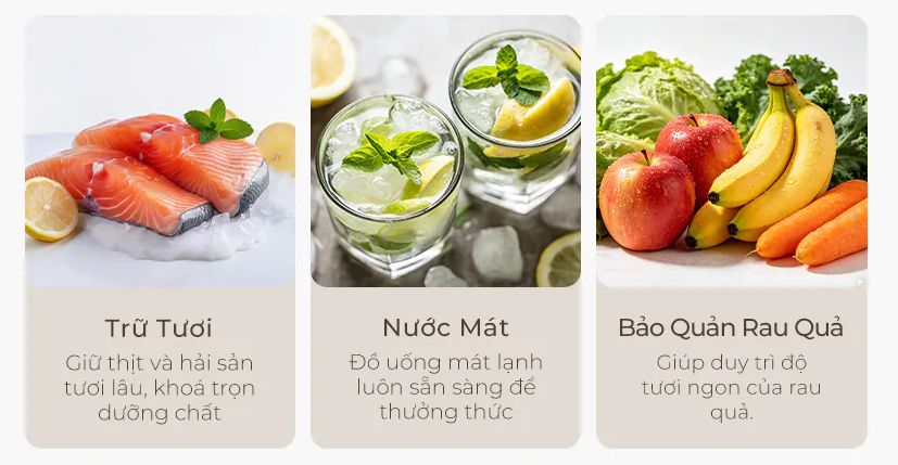 Bảo quản thực phẩm hiệu quả 